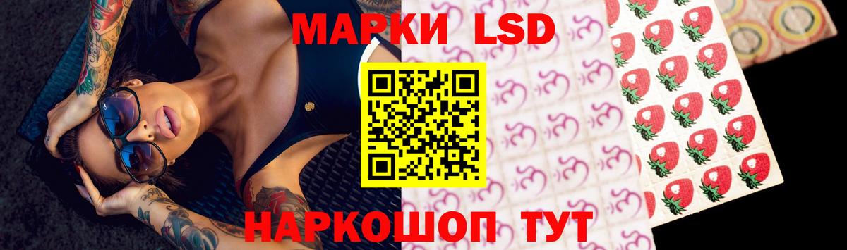 LSD-25 экстази кислота  Вход с VPN  LSD-25 экстази  Горячий Ключ 