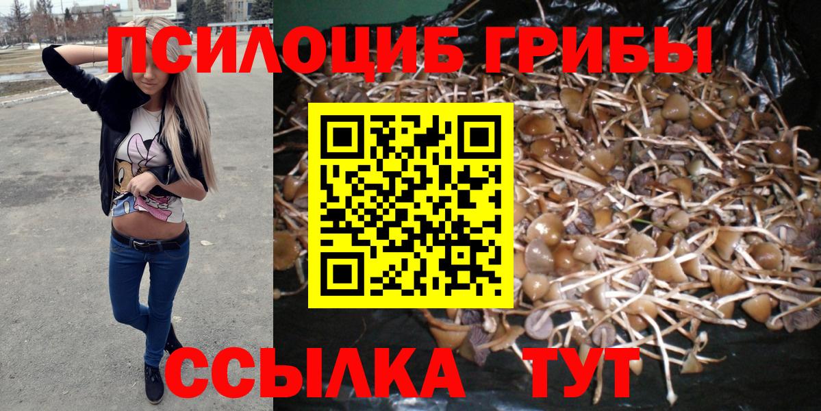 Галлюциногенные грибы прущие грибы Горячий Ключ